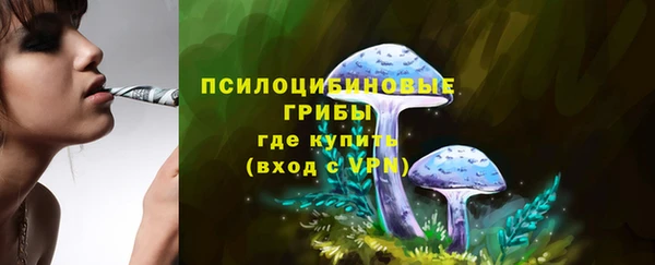 соль курить ск Алзамай