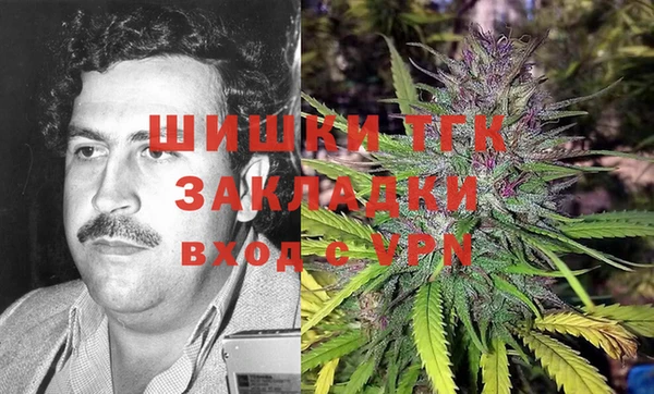 ПСИЛОЦИБИНОВЫЕ ГРИБЫ Алексин