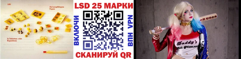 где найти наркотики  Пудож  ЛСД экстази кислота 