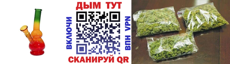 Конопля сатива  купить наркоту  Пудож 